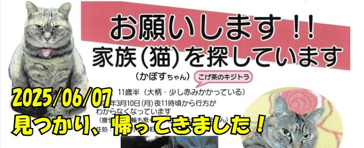 豊川市　かぼすちゃん♀