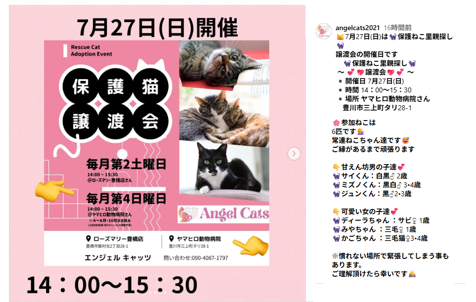 Angel Cats エンジェル キャッツ(豊川市)