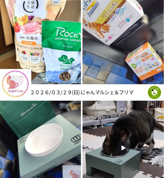 にゃんマルシェ　AngelCats