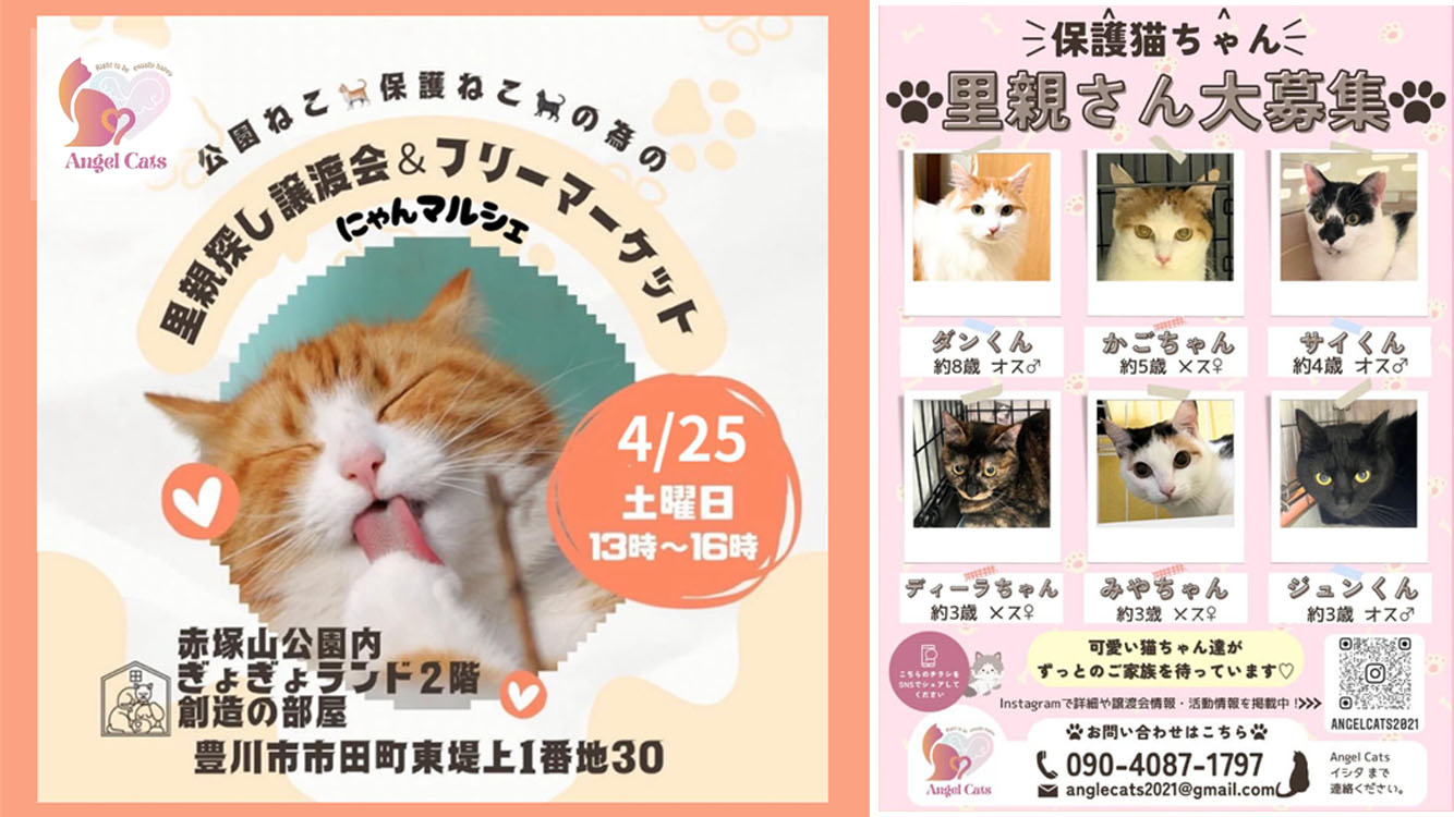にゃんマルシェ　AngelCats