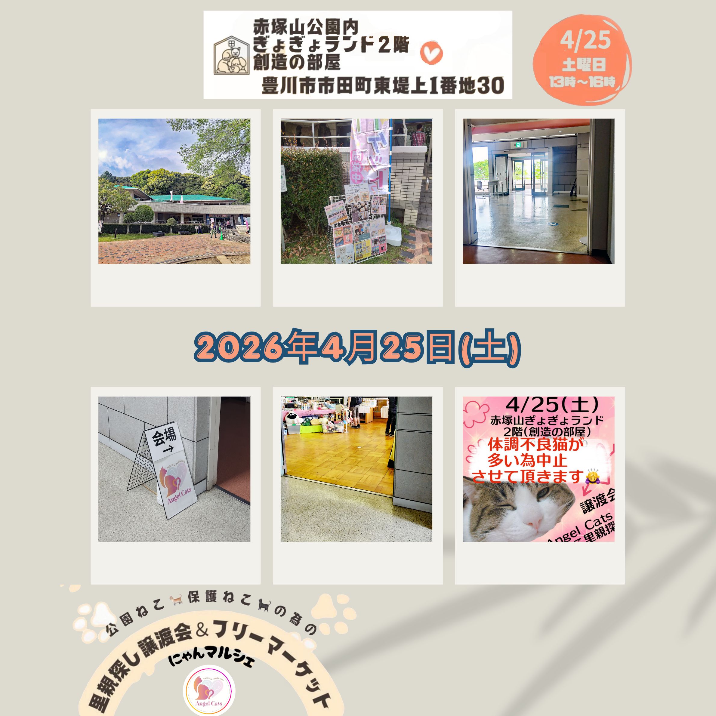 ねこマルシェ　豊川市　AngelCats　保護猫　地域猫